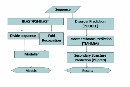 Protein Modelling Workflow